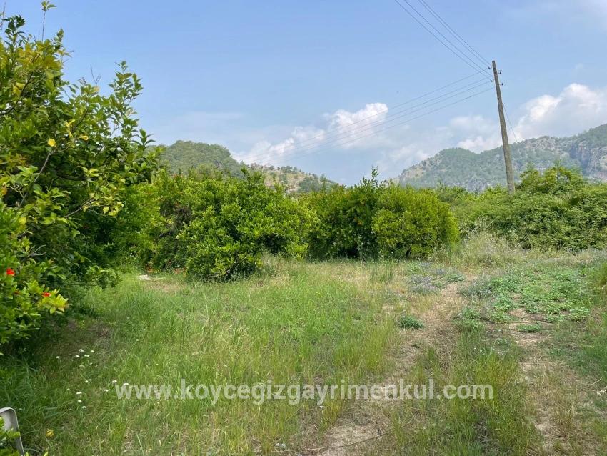 Для Продажи Поле в Gökbel Ortaca - Под Жилье застройку - 7.800 m²