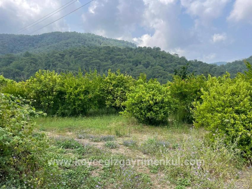 Для Продажи Поле в Gökbel Ortaca - Под Жилье застройку - 7.800 m²