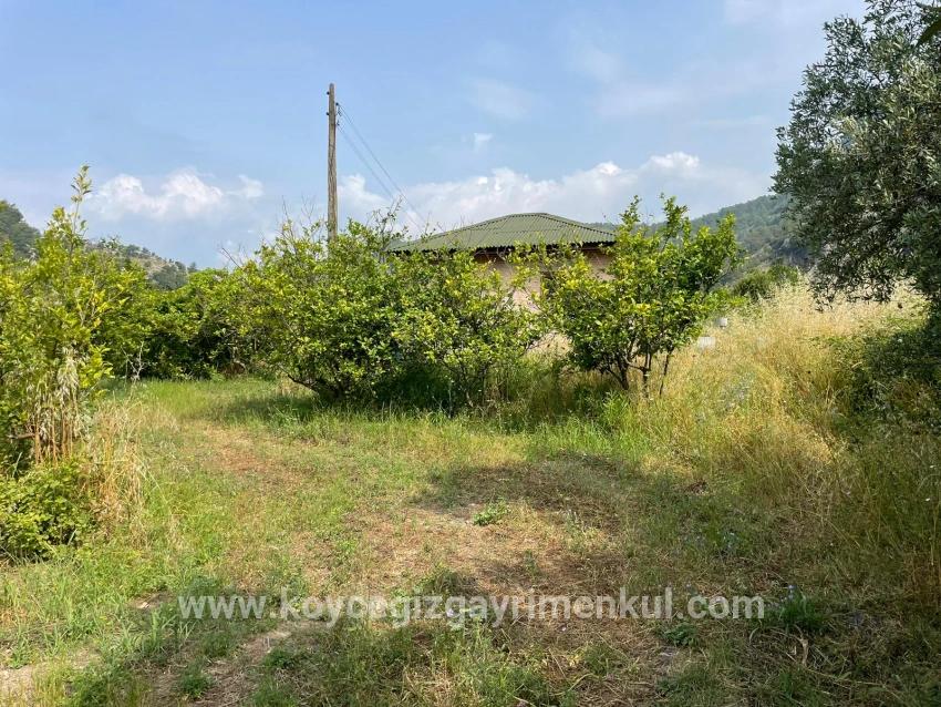 Для Продажи Поле в Gökbel Ortaca - Под Жилье застройку - 7.800 m²