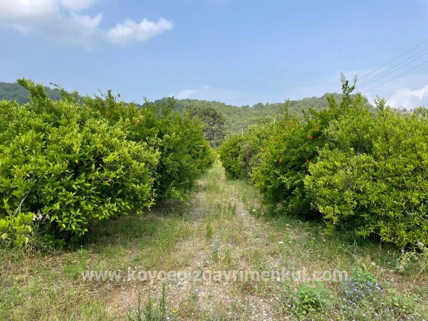 Для Продажи Поле в Gökbel Ortaca - Под Жилье застройку - 7.800 m²