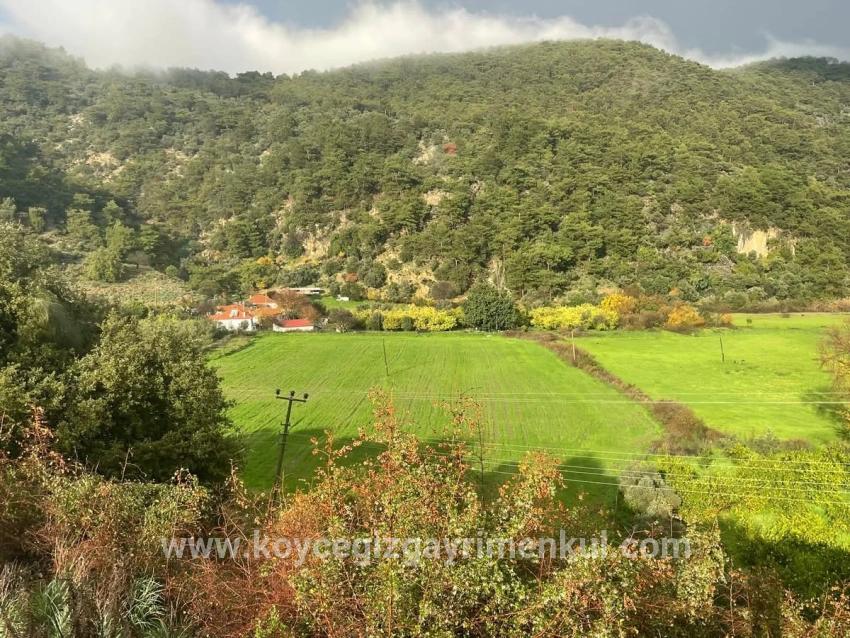 Для Продажи Земля в Çandır Köyceğiz - Под Поле застройку - 35.000 m²