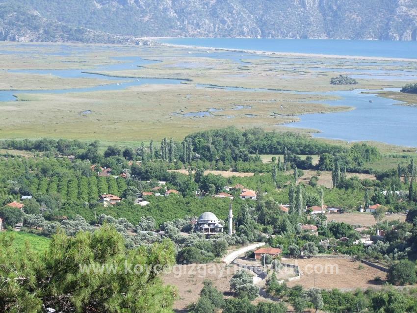 Для Продажи Поле в Çandır Köyceğiz - Под Поле застройку - 19.334 m²