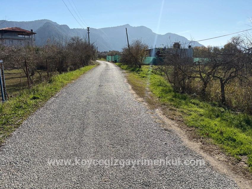 Для Продажи Поле в Dalyan Ortaca - Под Поле застройку - 4.541 m²