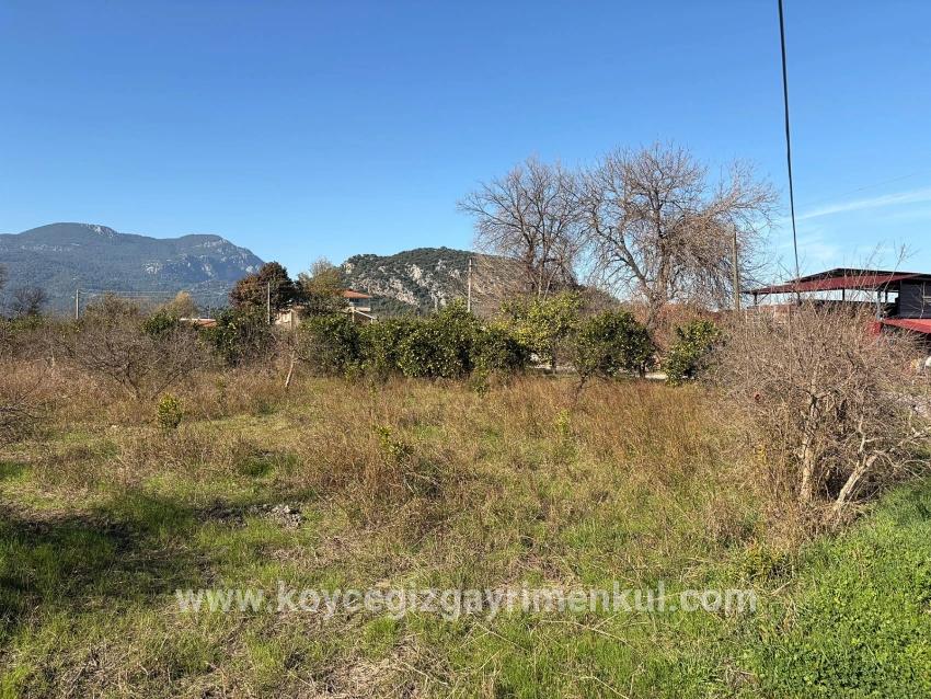 Для Продажи Поле в Dalyan Ortaca - Под Поле застройку - 4.541 m²