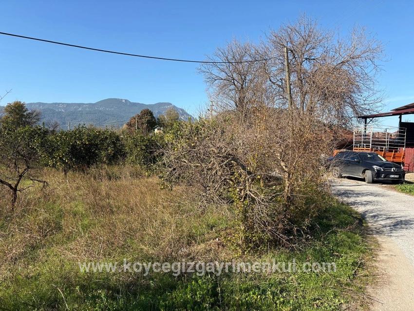 Для Продажи Поле в Dalyan Ortaca - Под Поле застройку - 4.541 m²