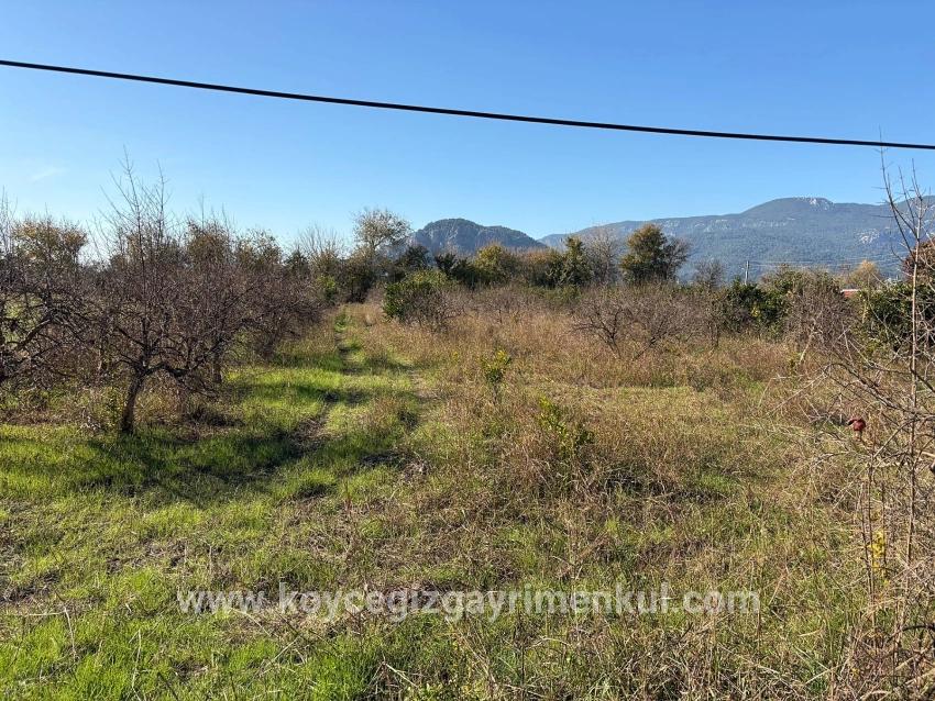Для Продажи Поле в Dalyan Ortaca - Под Поле застройку - 4.541 m²