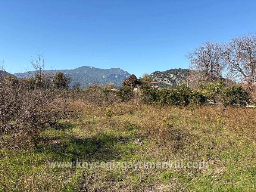 Для Продажи Поле в Dalyan Ortaca - Под Поле застройку - 4.541 m²