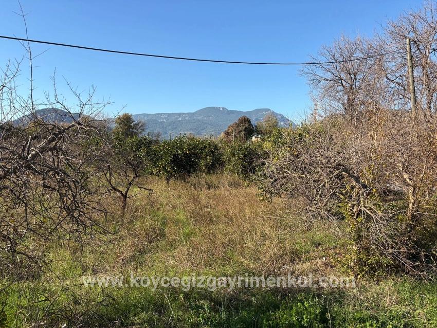 Для Продажи Поле в Dalyan Ortaca - Под Поле застройку - 4.541 m²