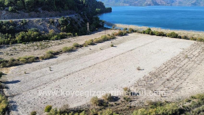 Для Продажи Поле в Sultaniye Köyceğiz - Под Поле застройку - 3.210 m²