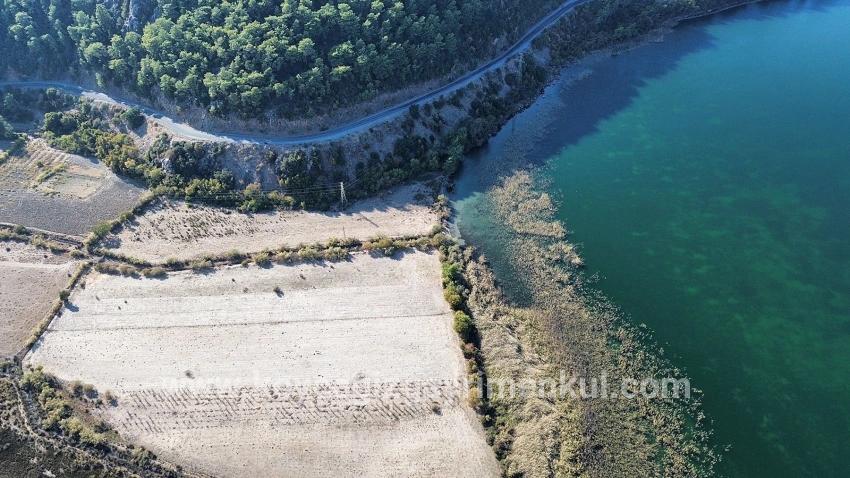 Для Продажи Поле в Sultaniye Köyceğiz - Под Поле застройку - 3.210 m²
