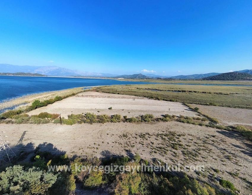 Для Продажи Поле в Sultaniye Köyceğiz - Под Поле застройку - 3.210 m²