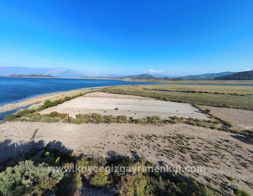 Для Продажи Поле в Sultaniye Köyceğiz - Под Поле застройку - 3.210 m²
