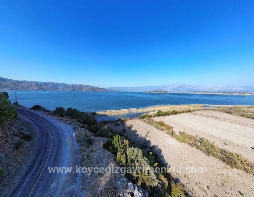Для Продажи Поле в Sultaniye Köyceğiz - Под Поле застройку - 3.210 m²