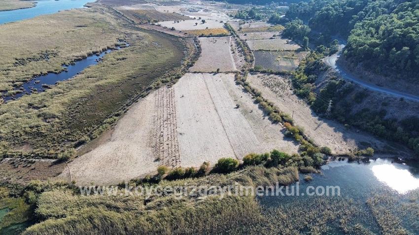 Для Продажи Поле в Sultaniye Köyceğiz - Под Поле застройку - 3.210 m²