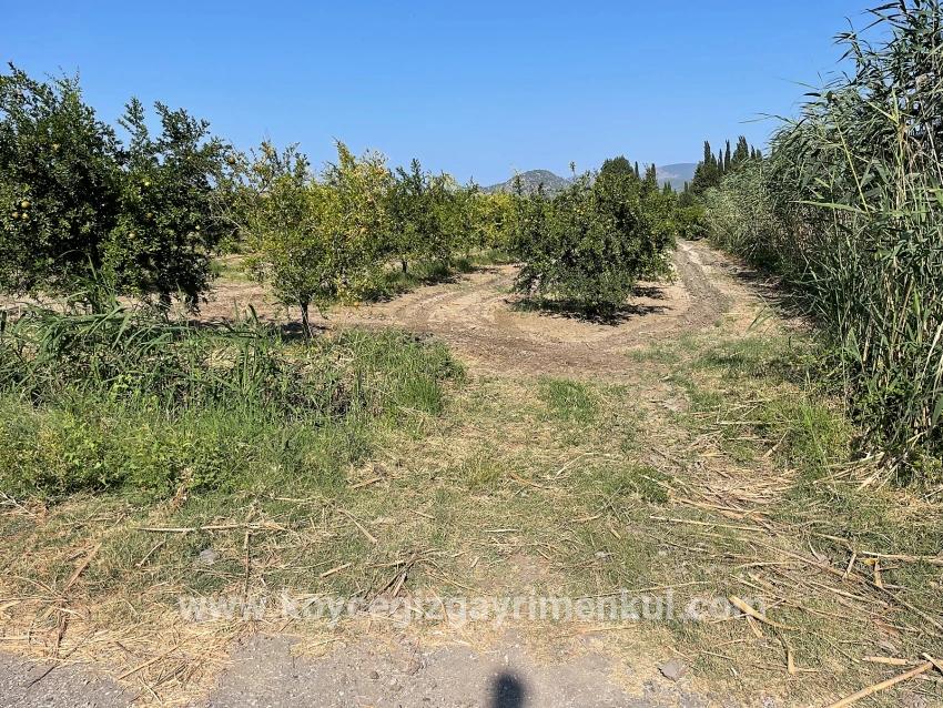 Для Продажи Поле в Dalyan Ortaca - Под Жилье застройку - 10.000 m²