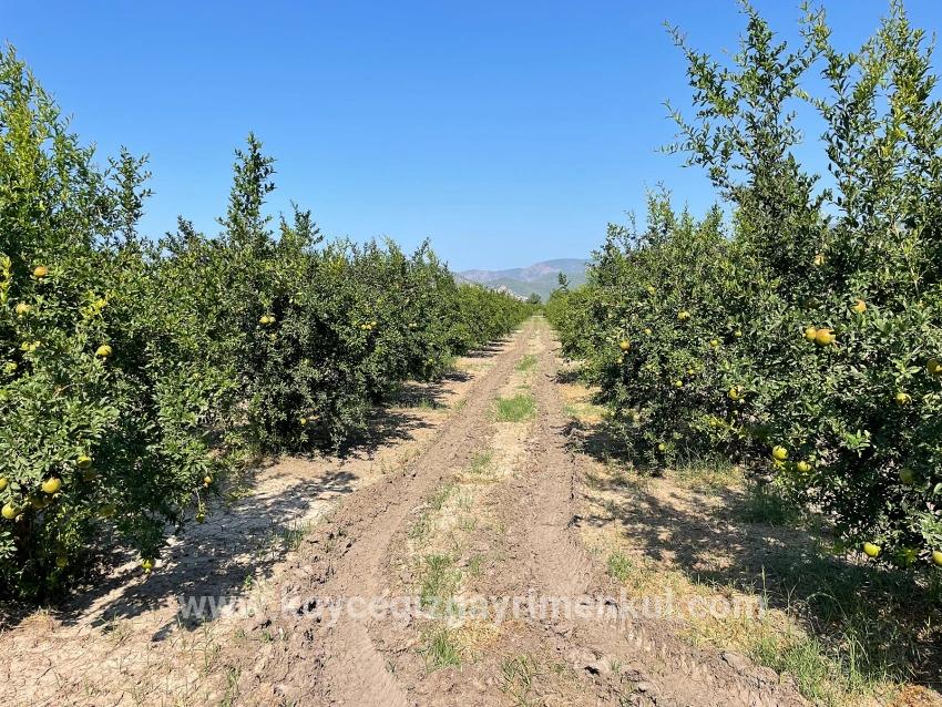 Для Продажи Поле в Dalyan Ortaca - Под Жилье застройку - 10.000 m²