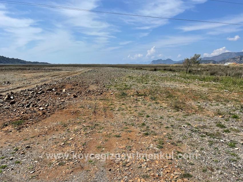 Для Продажи Поле в Dalyan Ortaca - Под Жилье застройку - 19.600 m²