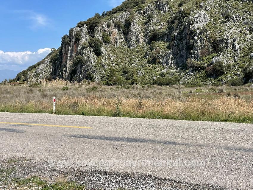Для Продажи Поле в Dalyan Ortaca - Под Жилье застройку - 19.600 m²