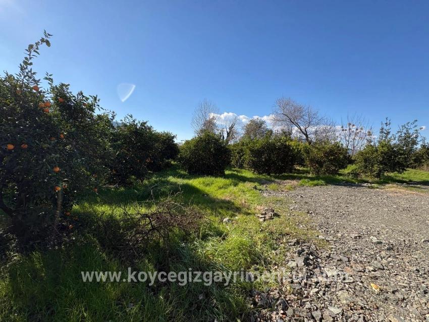 Для Продажи Сюжет в Okçular Ortaca - Под Жилье застройку - 4.326 m²