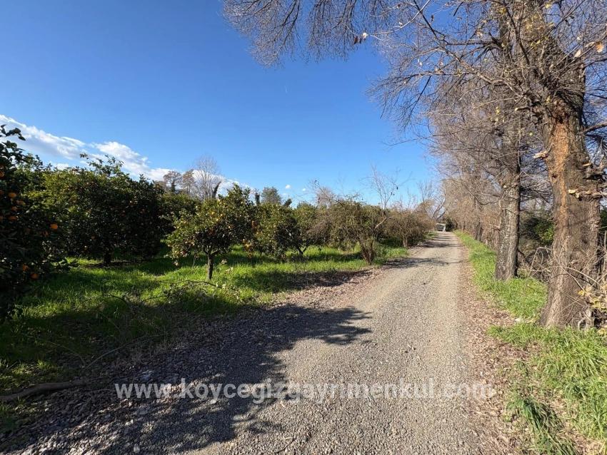 Для Продажи Сюжет в Okçular Ortaca - Под Жилье застройку - 4.326 m²
