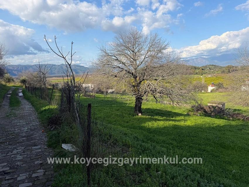 Для Продажи Поле в Dalyan Ortaca - Под Поле застройку - 11.230 m²