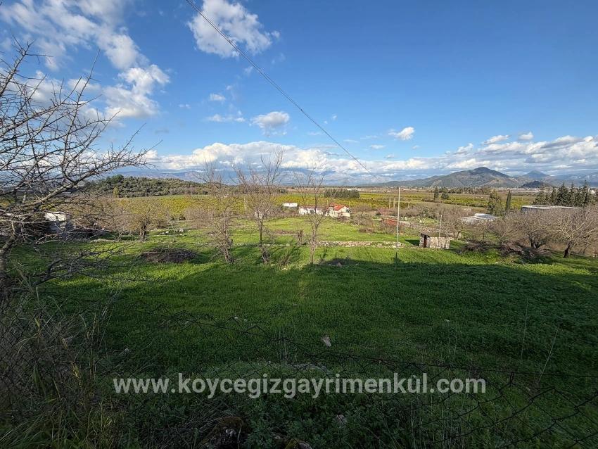 Для Продажи Поле в Dalyan Ortaca - Под Поле застройку - 11.230 m²