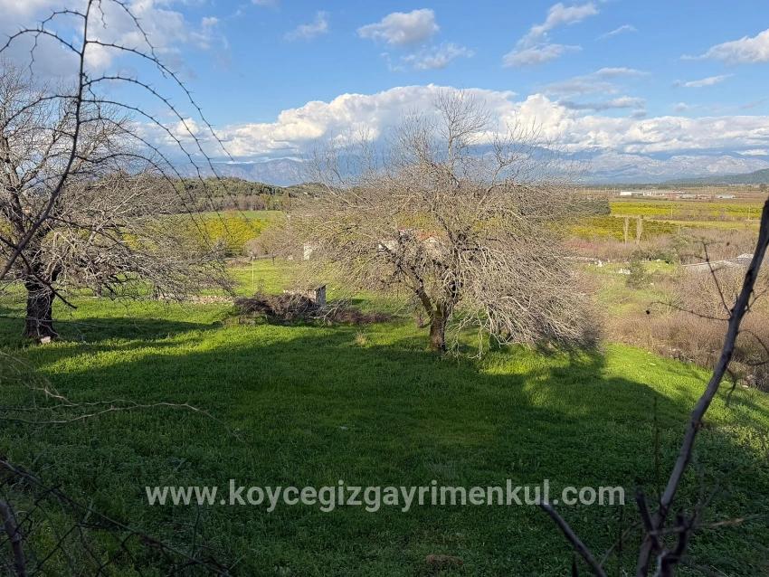 Для Продажи Поле в Dalyan Ortaca - Под Поле застройку - 11.230 m²