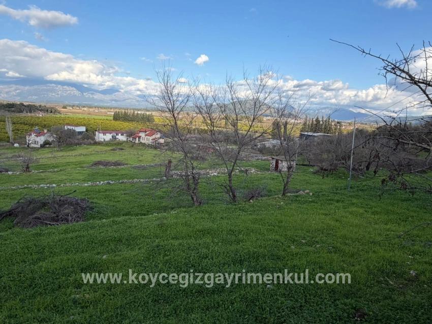 Для Продажи Поле в Dalyan Ortaca - Под Поле застройку - 11.230 m²