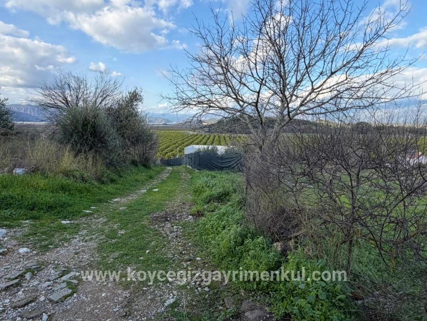 Для Продажи Поле в Dalyan Ortaca - Под Поле застройку - 11.230 m²