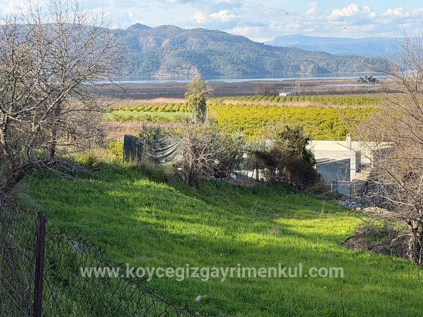Для Продажи Поле в Dalyan Ortaca - Под Поле застройку - 11.230 m²
