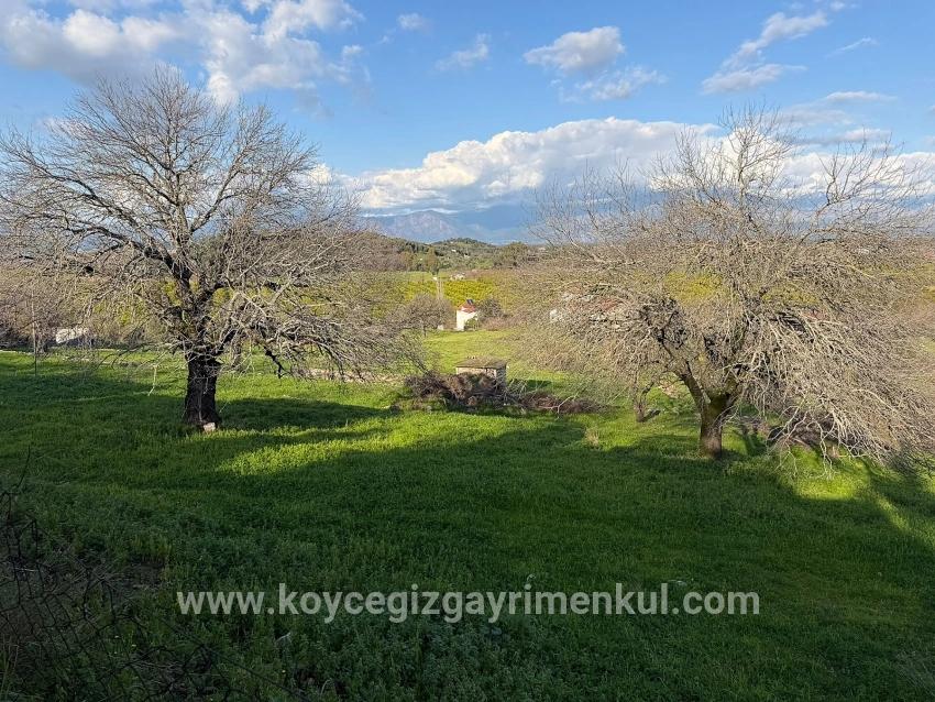 Для Продажи Поле в Dalyan Ortaca - Под Поле застройку - 11.230 m²