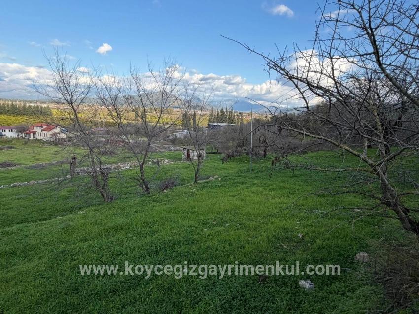 Для Продажи Поле в Dalyan Ortaca - Под Поле застройку - 11.230 m²