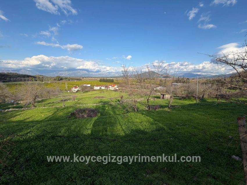 Для Продажи Поле в Dalyan Ortaca - Под Поле застройку - 11.230 m²