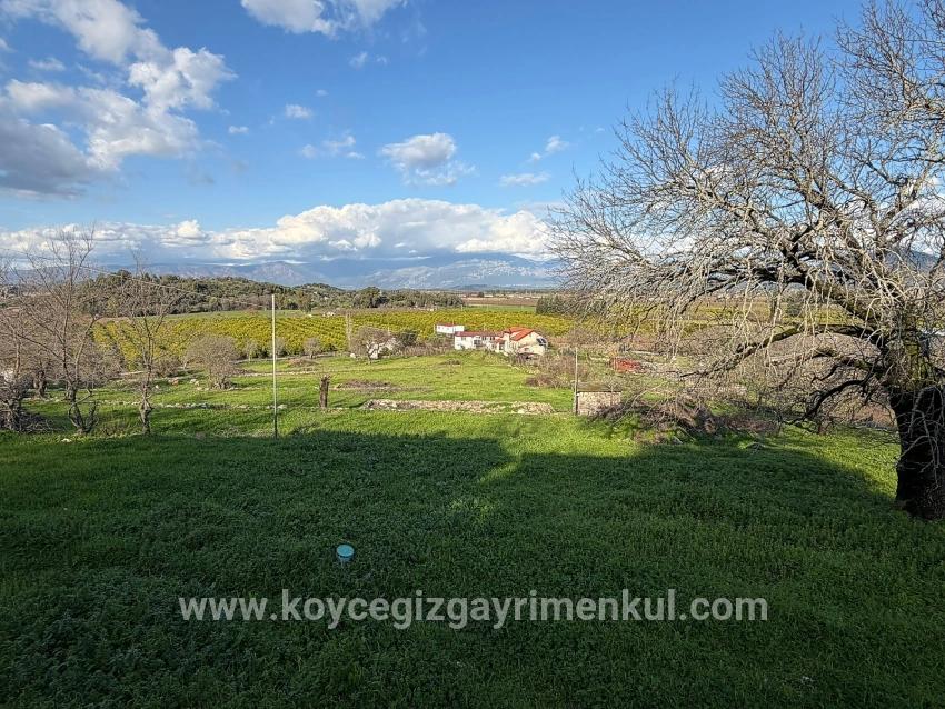 Для Продажи Поле в Dalyan Ortaca - Под Поле застройку - 11.230 m²