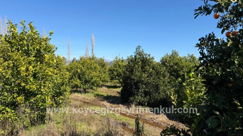 Для Продажи Сюжет в Okçular Ortaca - Под Жилье застройку - 2.218 m²