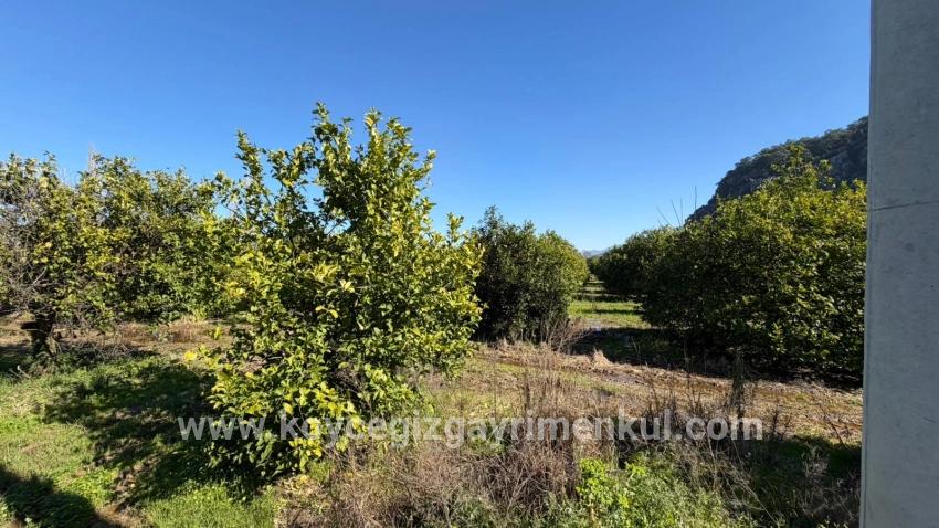 Для Продажи Сюжет в Okçular Ortaca - Под Жилье застройку - 2.218 m²