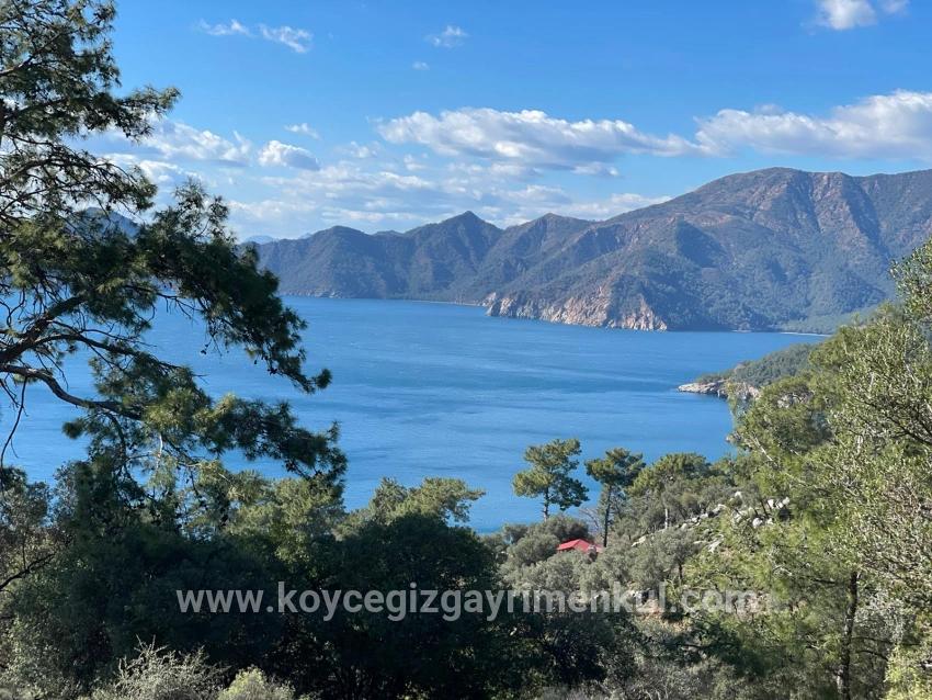 Для Продажи Поле в Çandır Köyceğiz - Под Поле застройку - 20.000 m²