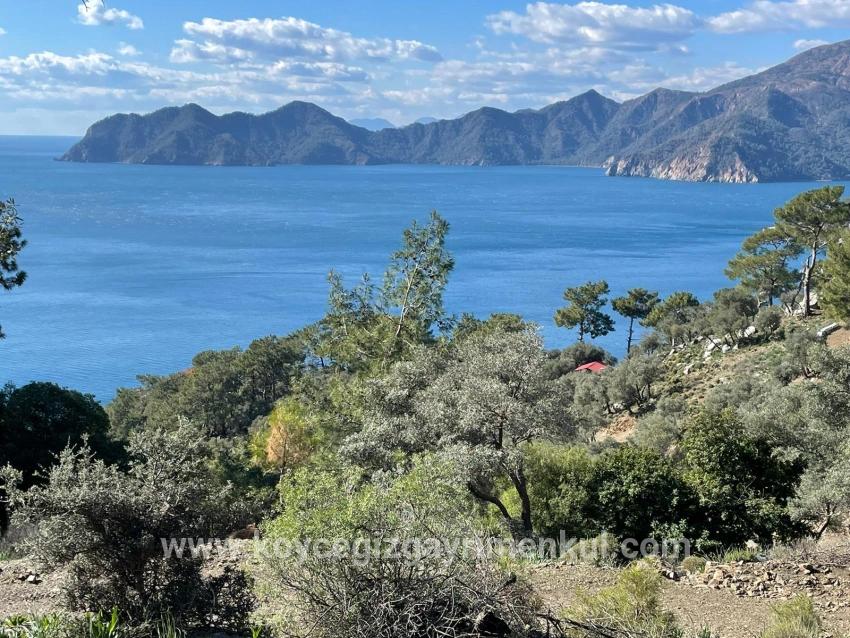 Для Продажи Поле в Çandır Köyceğiz - Под Поле застройку - 20.000 m²