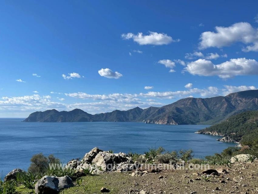 Для Продажи Поле в Çandır Köyceğiz - Под Поле застройку - 20.000 m²
