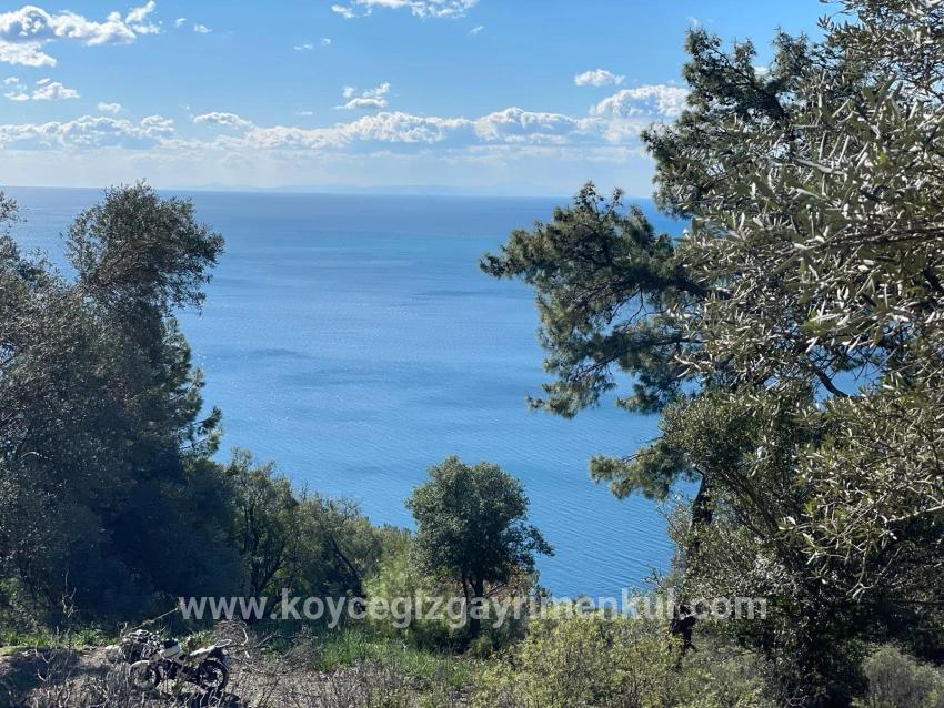 Для Продажи Поле в Çandır Köyceğiz - Под Поле застройку - 20.000 m²