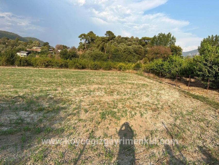 Для Продажи Поле в Çandır Köyceğiz - Под Жилье застройку - 1.150 m²