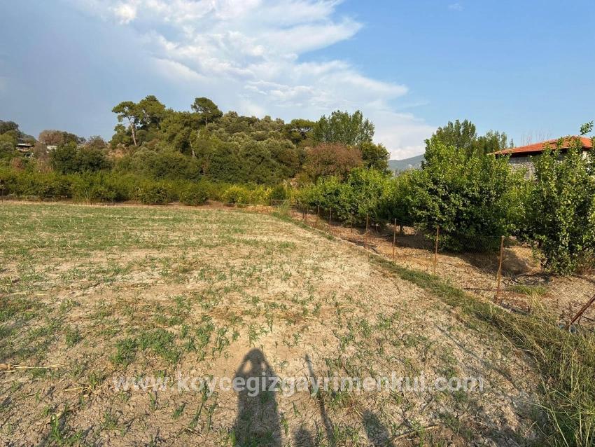 Для Продажи Поле в Çandır Köyceğiz - Под Жилье застройку - 1.150 m²