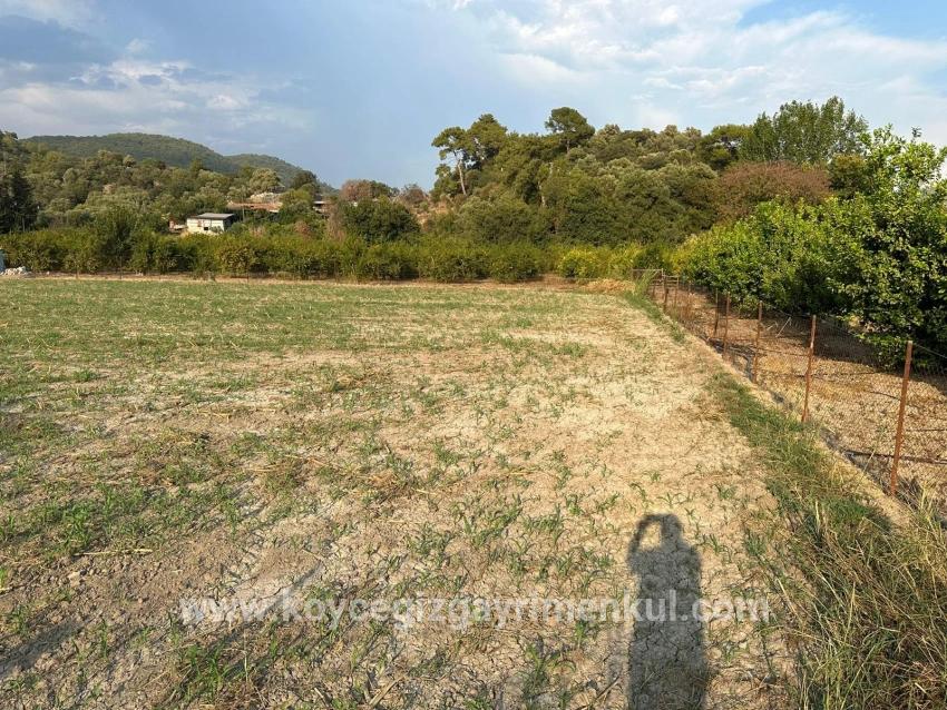 Для Продажи Поле в Çandır Köyceğiz - Под Жилье застройку - 1.150 m²