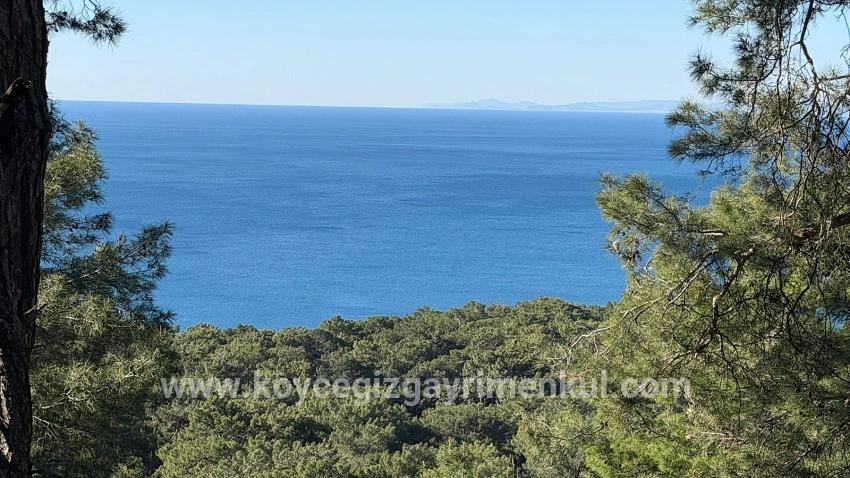 Для Продажи Поле в Çandır Köyceğiz - Под Жилье застройку - 5.715 m²