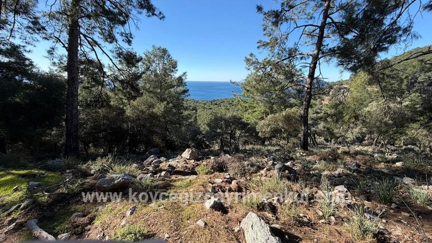 Для Продажи Поле в Çandır Köyceğiz - Под Жилье застройку - 5.715 m²