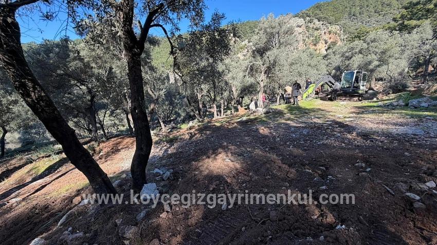 Для Продажи Поле в Çandır Köyceğiz - Под Жилье застройку - 5.715 m²