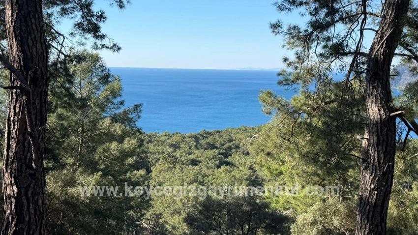 Для Продажи Поле в Çandır Köyceğiz - Под Жилье застройку - 5.715 m²