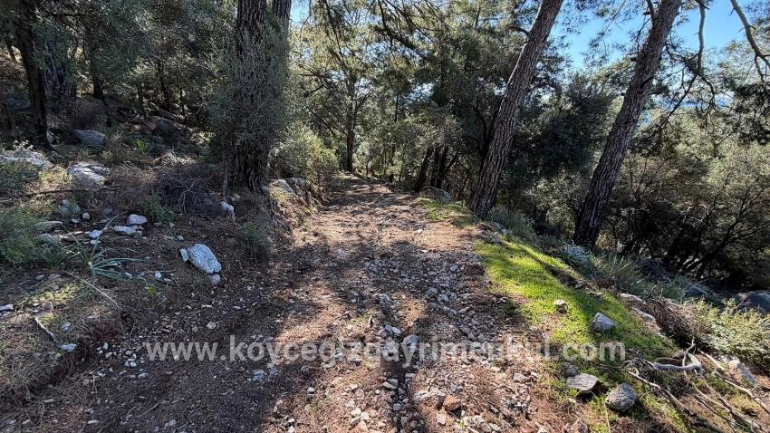 Для Продажи Поле в Çandır Köyceğiz - Под Жилье застройку - 5.715 m²