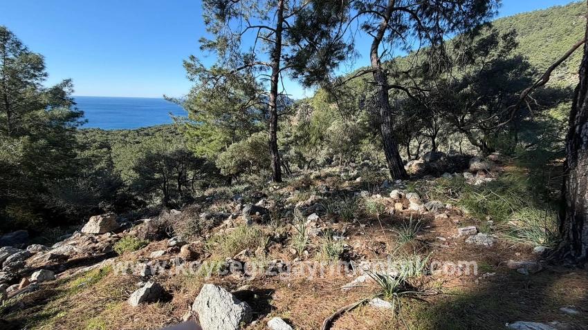 Для Продажи Поле в Çandır Köyceğiz - Под Жилье застройку - 5.715 m²