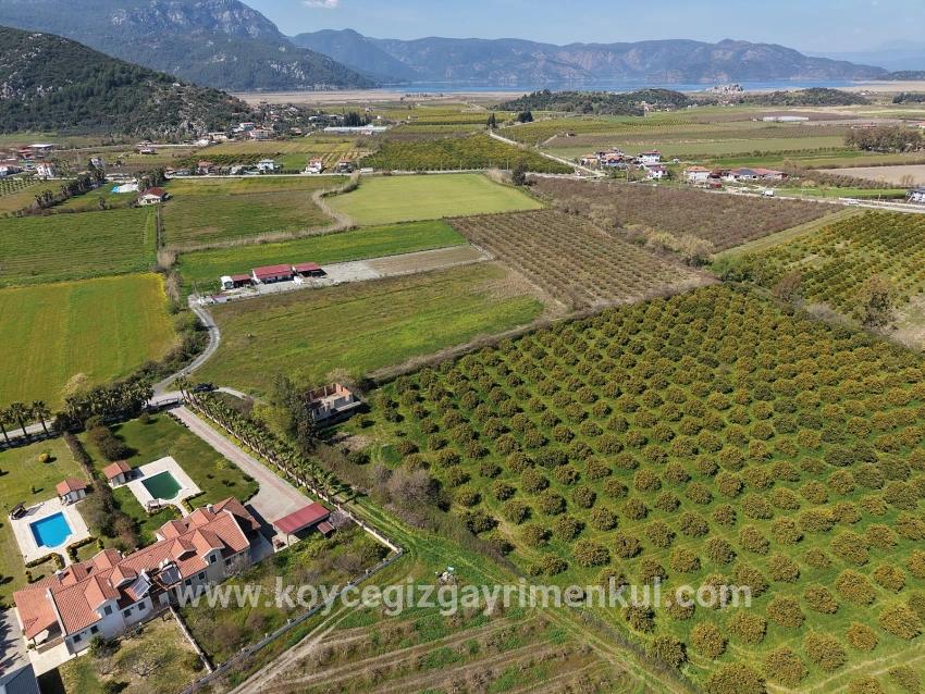 Для Продажи Виноградник И Сад в Dalyan Ortaca - Под Виноградник И Сад застройку - 17.550 m²